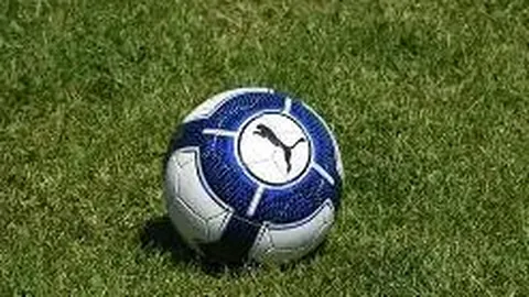 李湘关联企业工商信息更新，王岳伦晋升为最大持股人